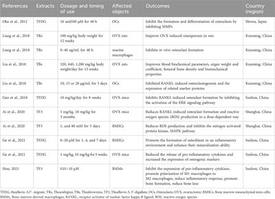 The potential application of fermented tea as a drink for regulating bone mass